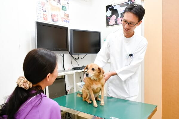 きんだ動物病院