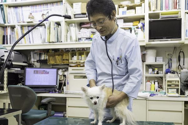 ハート動物病院